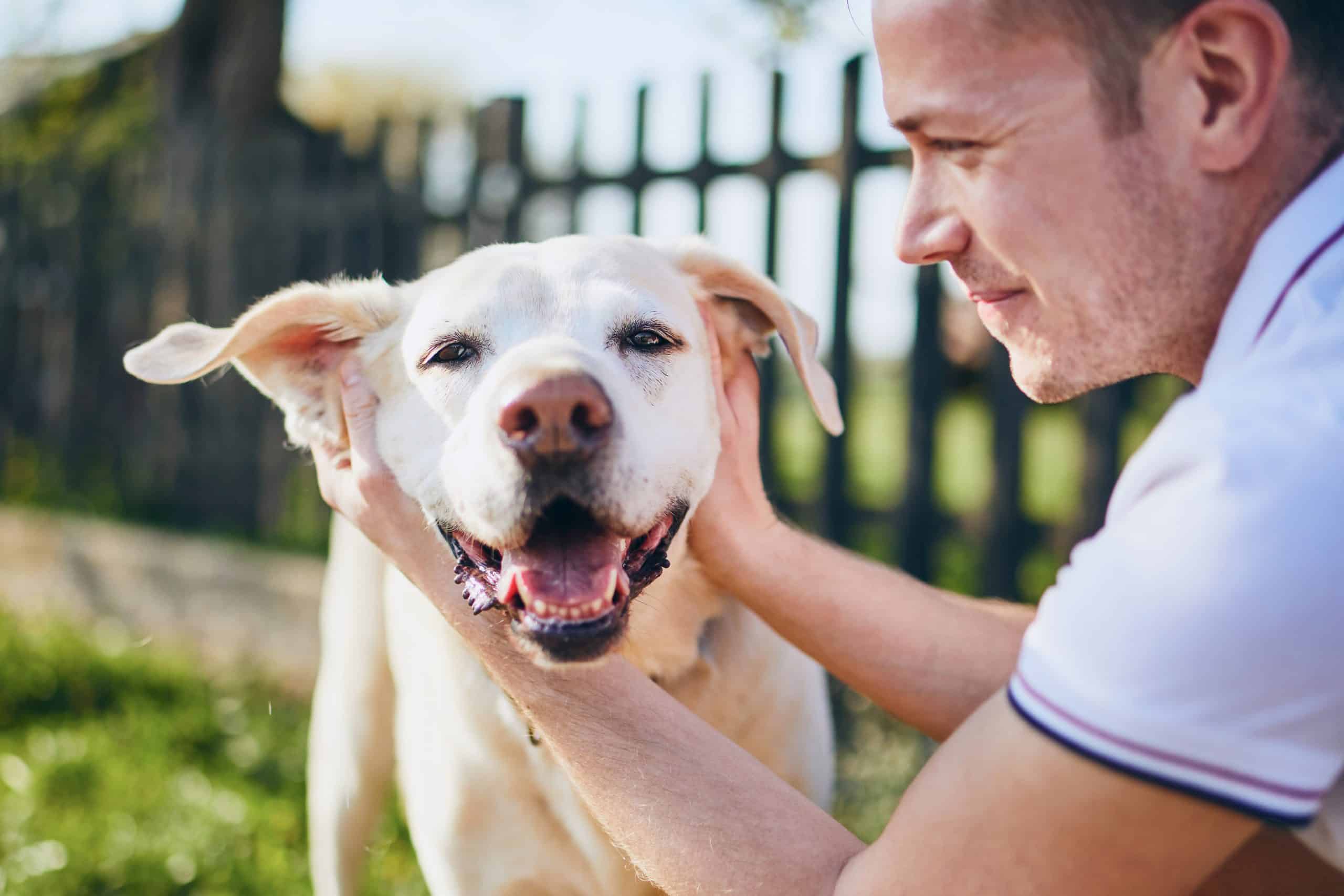 Fido Technologies, matches users with their perfect dog | <a href="https://www.shutterstock.com/image-photo/happy-dog-his-owner-young-man-1376948951" target="_blank" rel="noopener">Shutterstock.com</a>