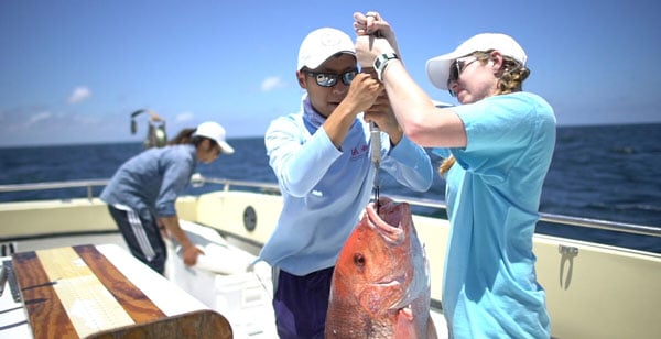 USA Founds School Of Marine And Environmental Sciences