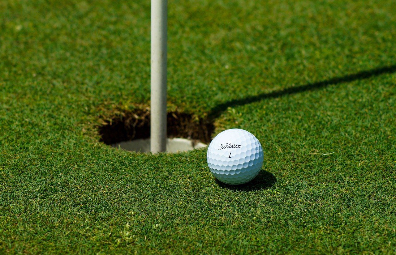 Mobile-based PINZ Wins State Financing - Connecting the world’s golfers — amateurs and pros — through competition, community and comparison | Image by <a href="https://pixabay.com/users/_paolaf_-12517512/?utm_source=link-attribution&amp;utm_medium=referral&amp;utm_campaign=image&amp;utm_content=4260111">_PaolaF_</a> from <a href="https://pixabay.com//?utm_source=link-attribution&amp;utm_medium=referral&amp;utm_campaign=image&amp;utm_content=4260111">Pixabay</a>