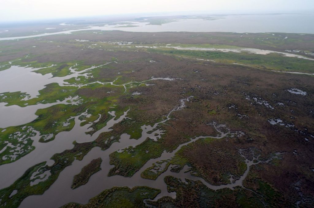 Mobile Bay Wetland to Gain 1,200 Acres