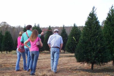 Christmas Tree Association to Meet In Gulf Shores