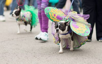 OWA Mardi Gras Events Planned