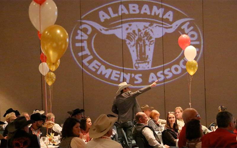 State Cattlemen&rsquo;s Association Meeting In Mobile Next Month