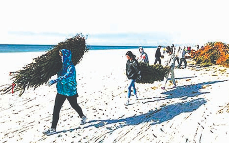 Students Install, Learn About Dune-Building Trees