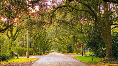 Magnolia Springs Named To “Beautiful Small Towns”