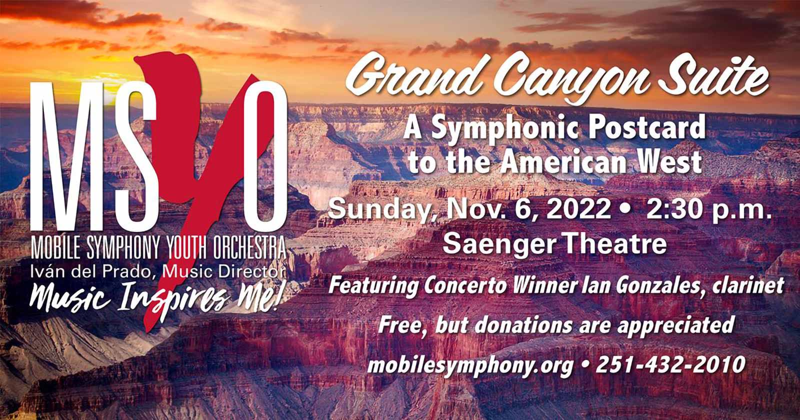 Next MSYO Concert Set For November 6