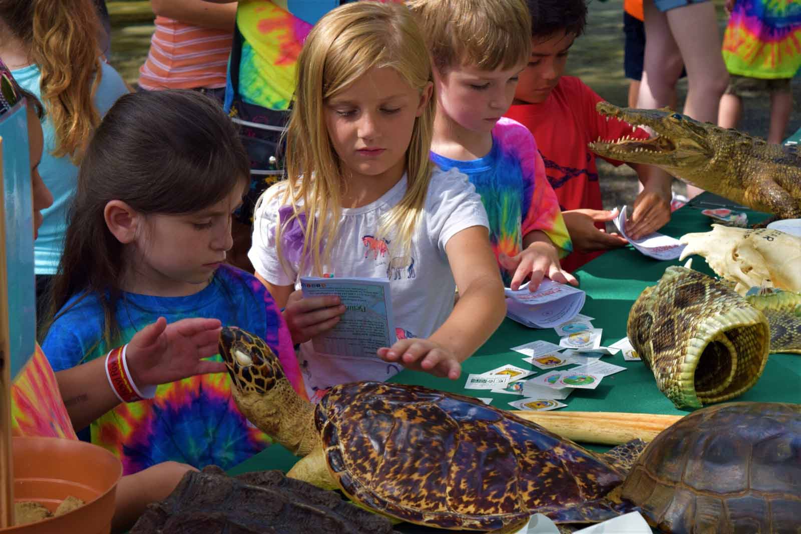 Bellingrath Kids Gulf Discovery Day Coming Up