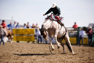 Annual Professional Rodeo Fundraiser Tickets On Sale