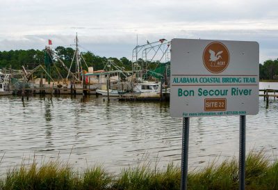 New Bon Secour Boat Launch Detailed