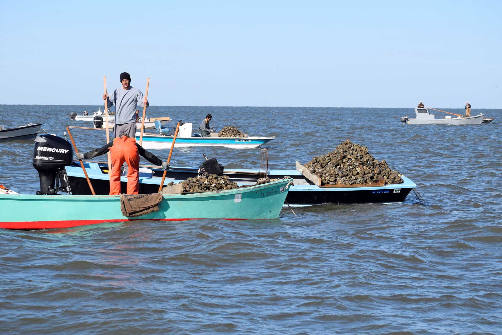 Oyster Management Meeting Set For Bayou La Batre