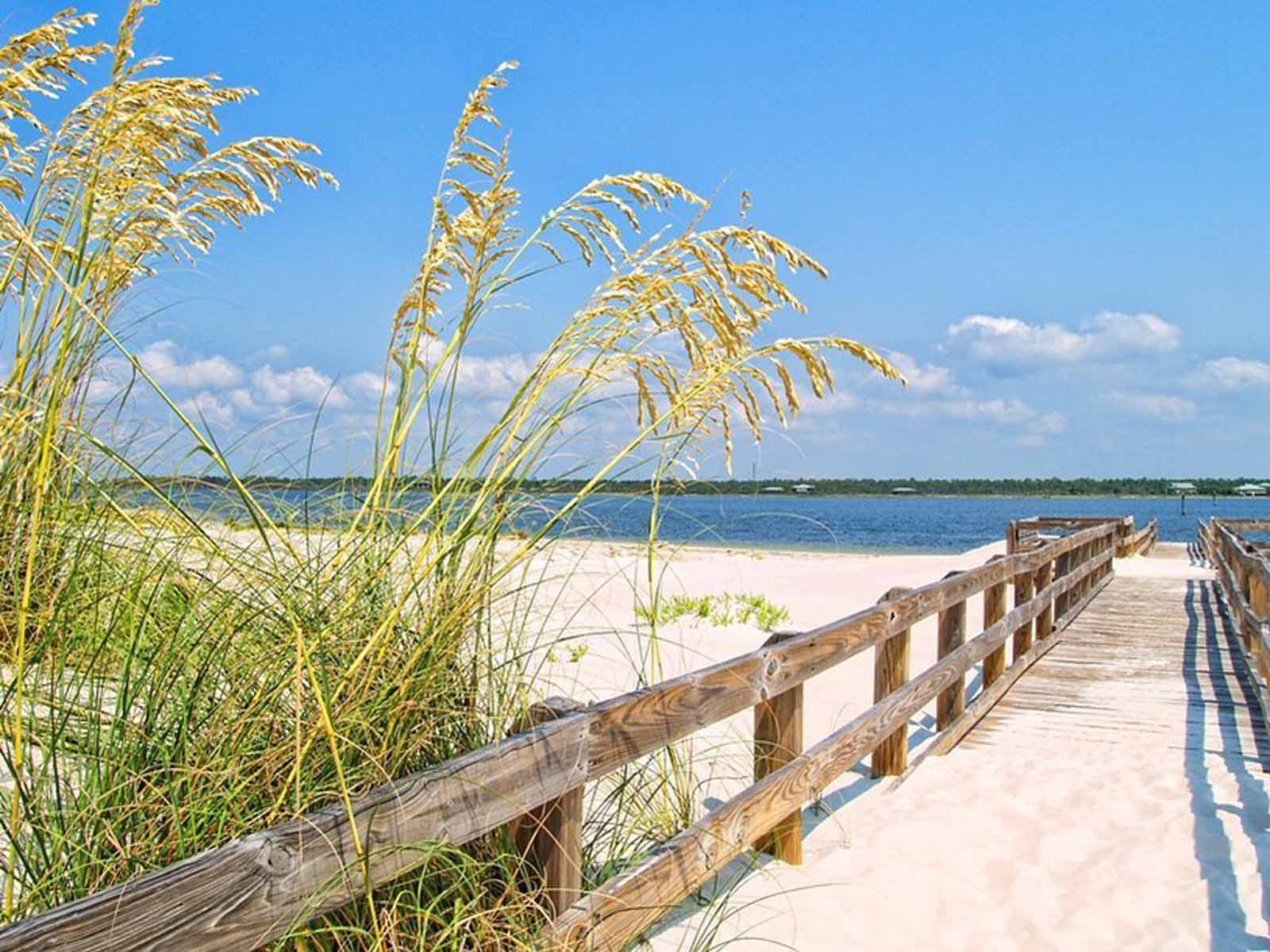 Perdido Key Chamber Seeks Photo Submissions