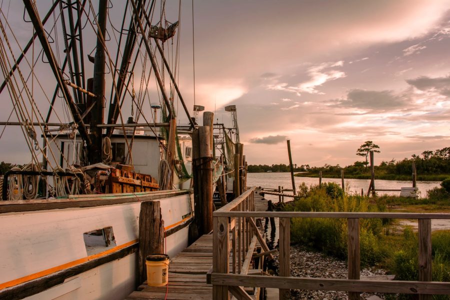 ALABAMA WATERS OPEN FOR SHRIMPING JUNE 1