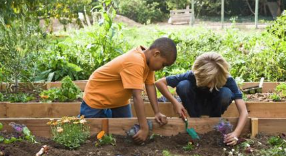 MBG VEGGIE KIDS WORKSHOPS ANNOUNCED