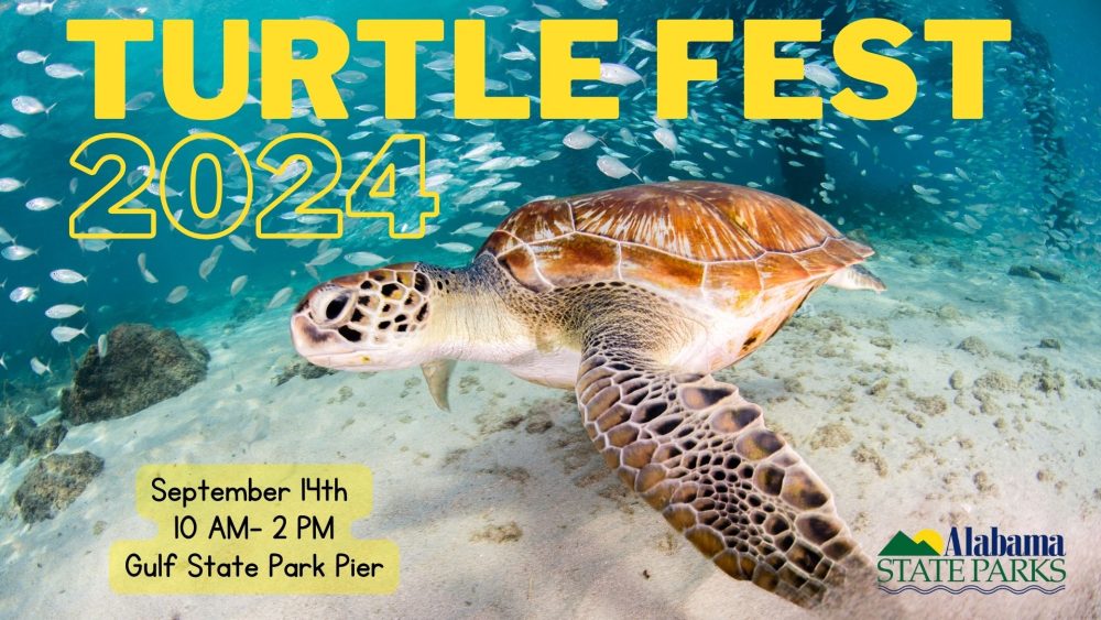 TURTLEFEST COMING TO GULF SHORES