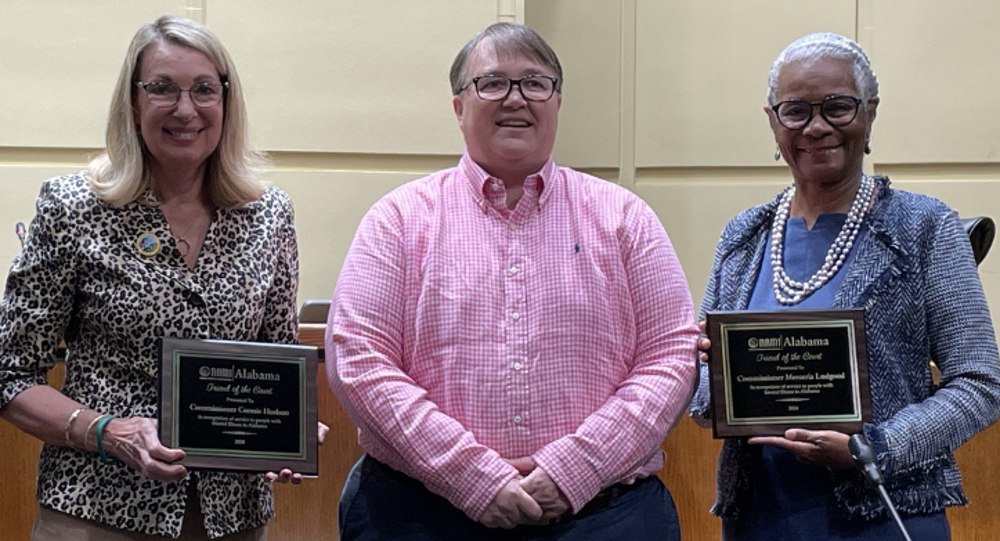 HUDSON, LUDGOOD NAMED FRIENDS OF THE COURT