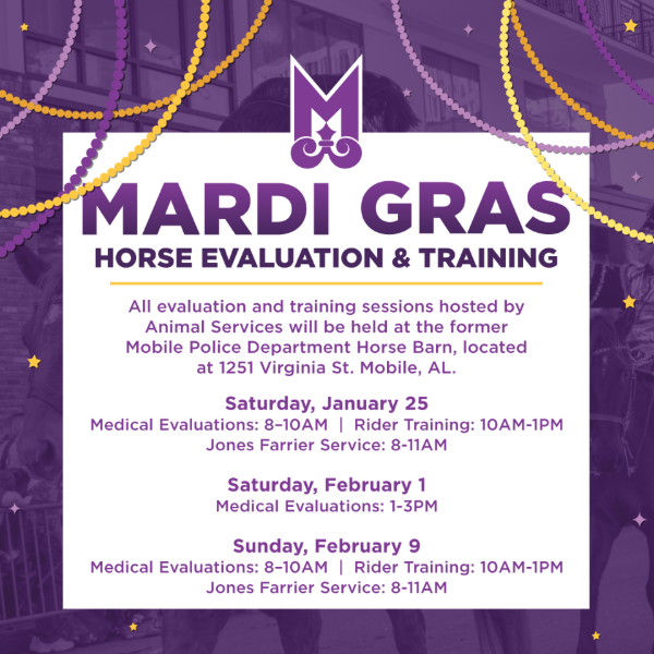 CITY OF MOBILE TO HOST HORSE EVALUATION SESSIONS FOR MARDI GRAS