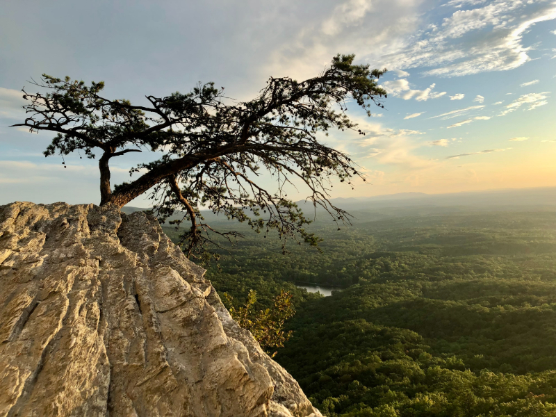 OUTDOOR ALABAMA PHOTO CONTEST WINNERS ANNOUNCED