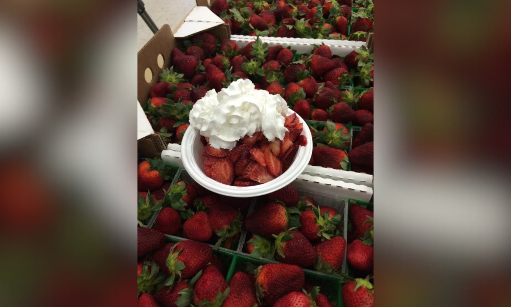 Baldwin County Strawberry Fest This Weekend