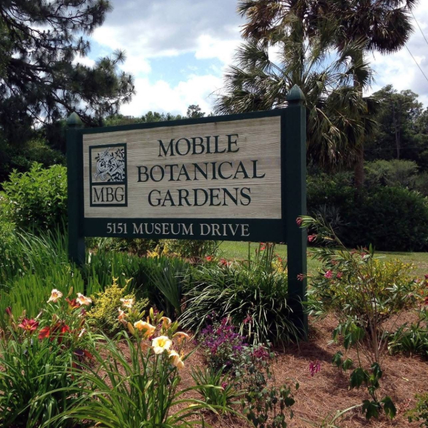 MBG TO HOST HERB EDUCATION DAY
