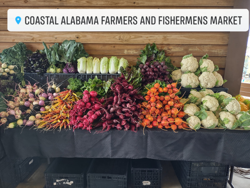 CAFFM NAMED FIRST RUNNER UP IN NEWSWEEK TOP LIST