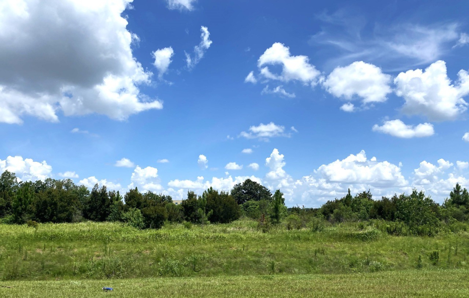 BJ’S WHOLESALE CLUB PLANNED FOR FOLEY