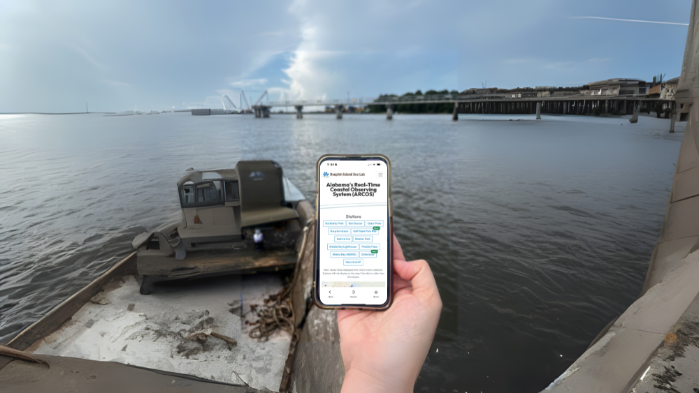 DISL LAUNCHES WEATHER CONDITIONS APP