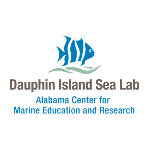 DISL OCEAN STEM WORKSHOP COMING UP