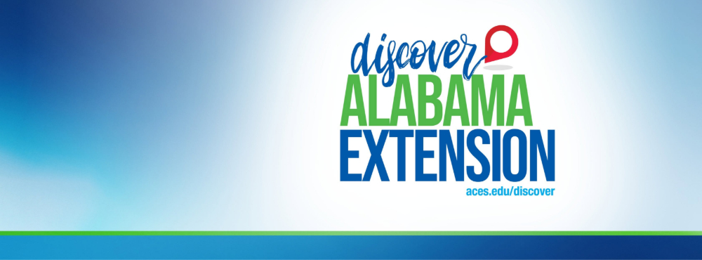 HYDROPONICS WORKSHOPS COMING UP