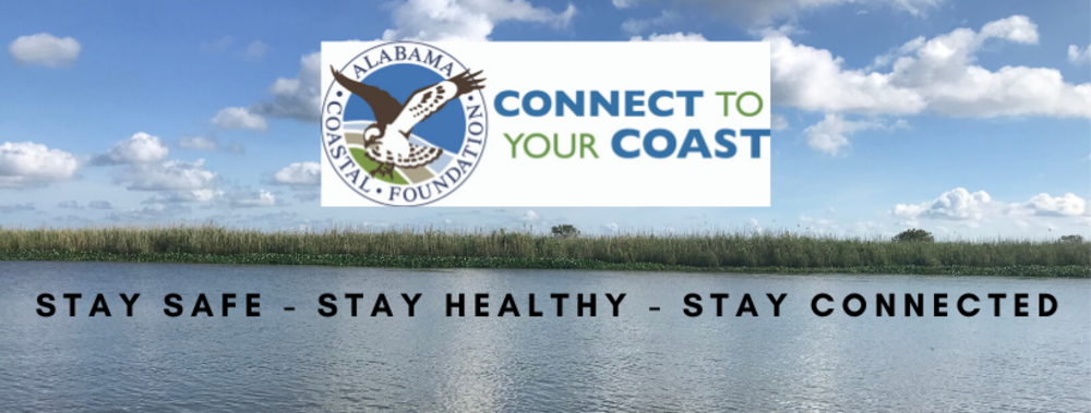 CALL FOR PRESENTATIONS ISSUED FOR SUSTAINABILITY SUMMIT