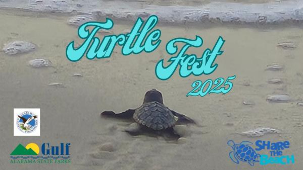 TURTLE FEST 2025 COMING UP