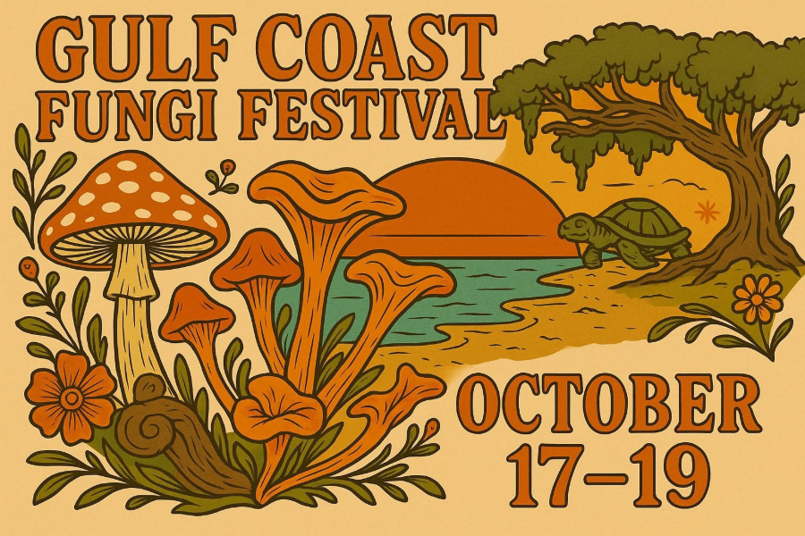 FUNGI FESTIVAL IS NEXT WEEKEND