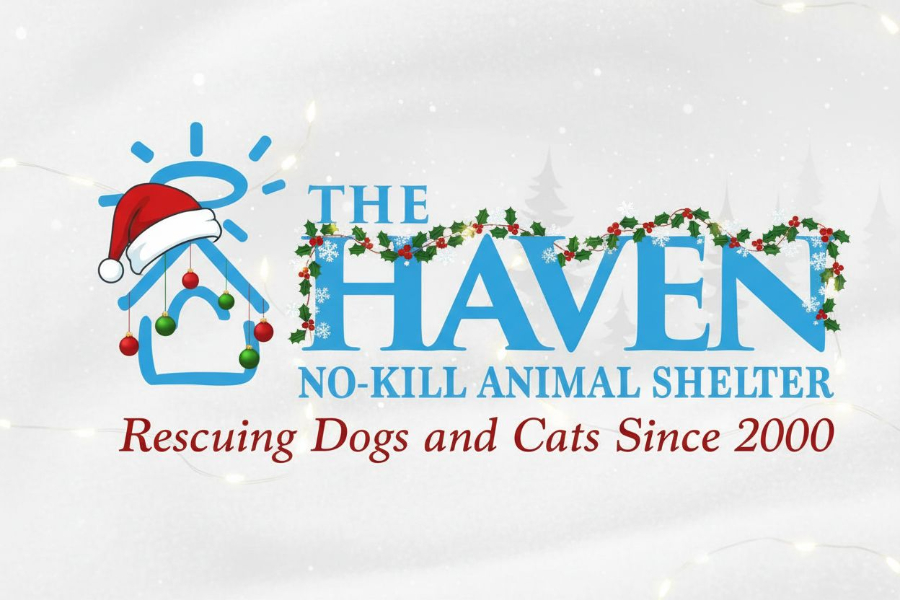 THE HAVEN AWARDED FOR SAVE RATE