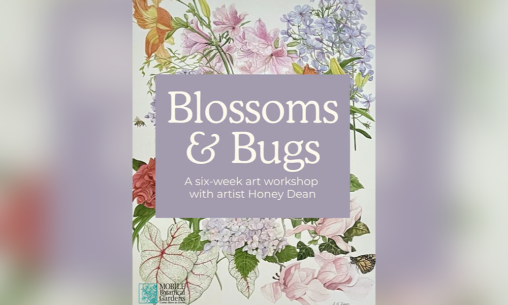 MBG blossoms & bugs drawing workshop announced