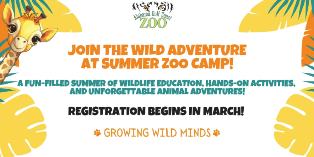 REGISTRATION OPEN FOR ZOO CAMP