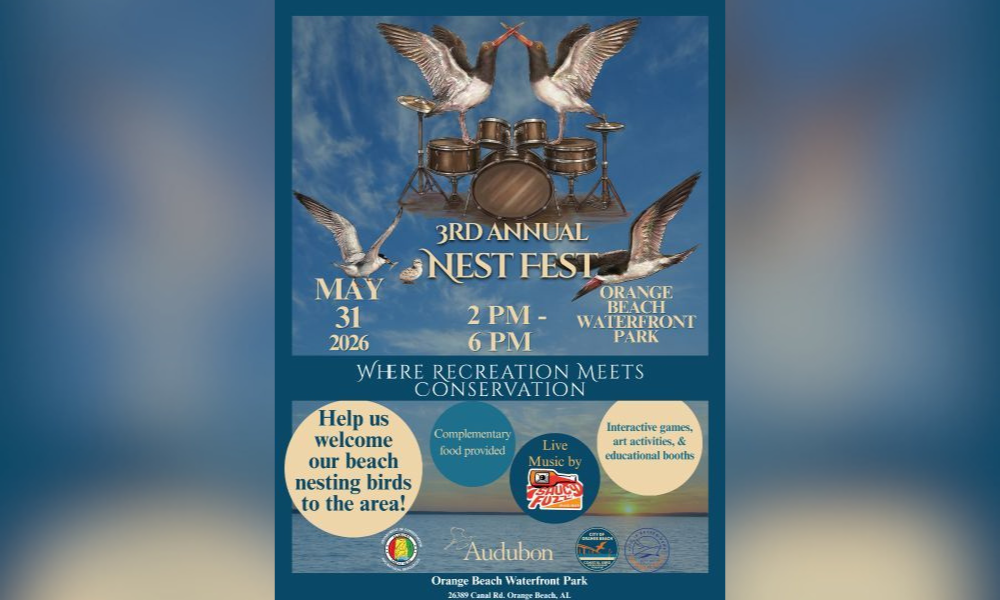 nest fest coming to orange beach