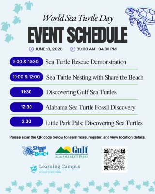 Sea Turtle Event Coming To Gulf State Park