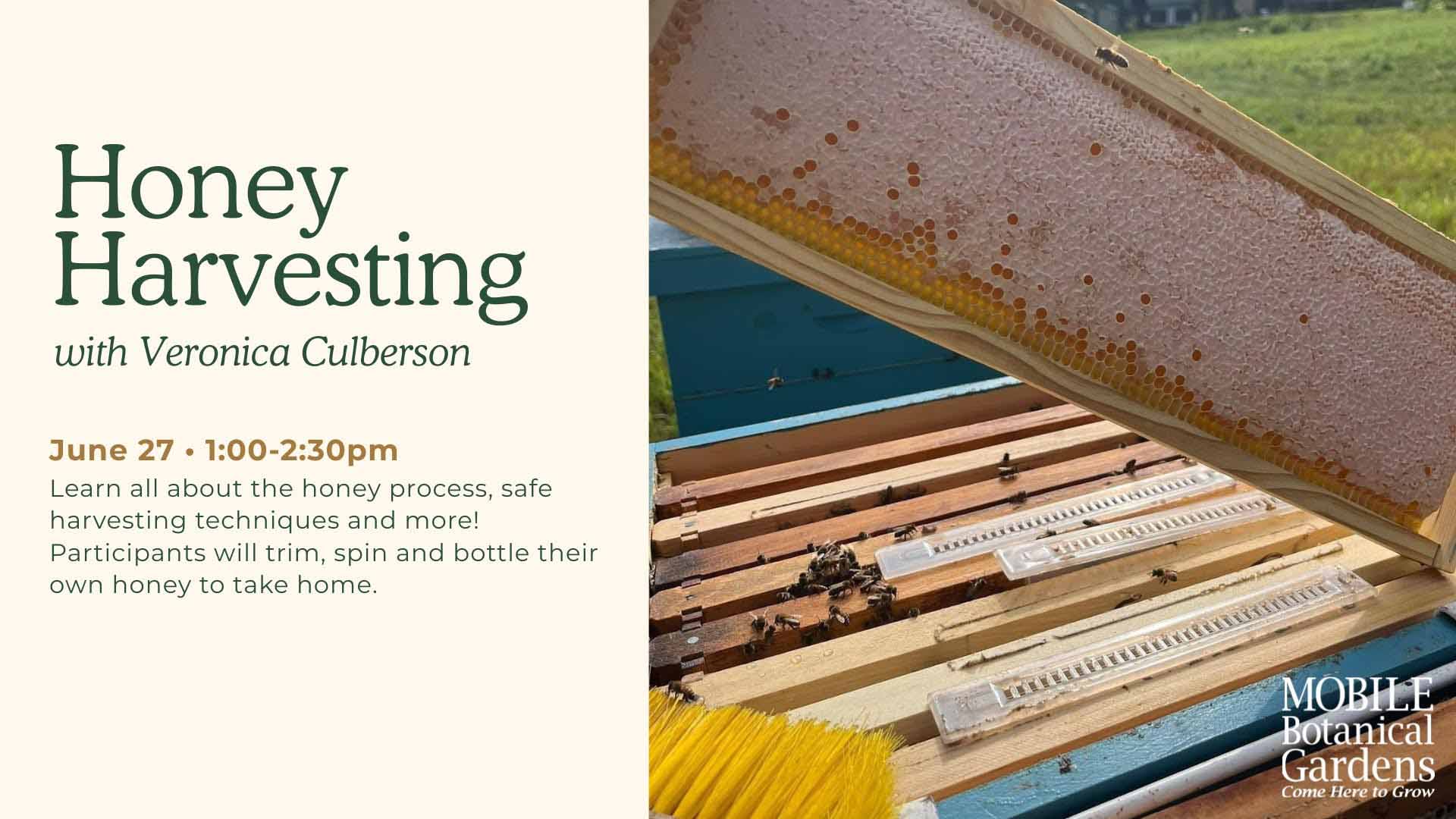 Honey Harvesting Workshop Coming To MBG