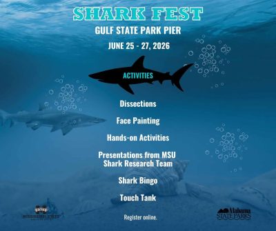 Shark Fest Announced For Gulf State Park