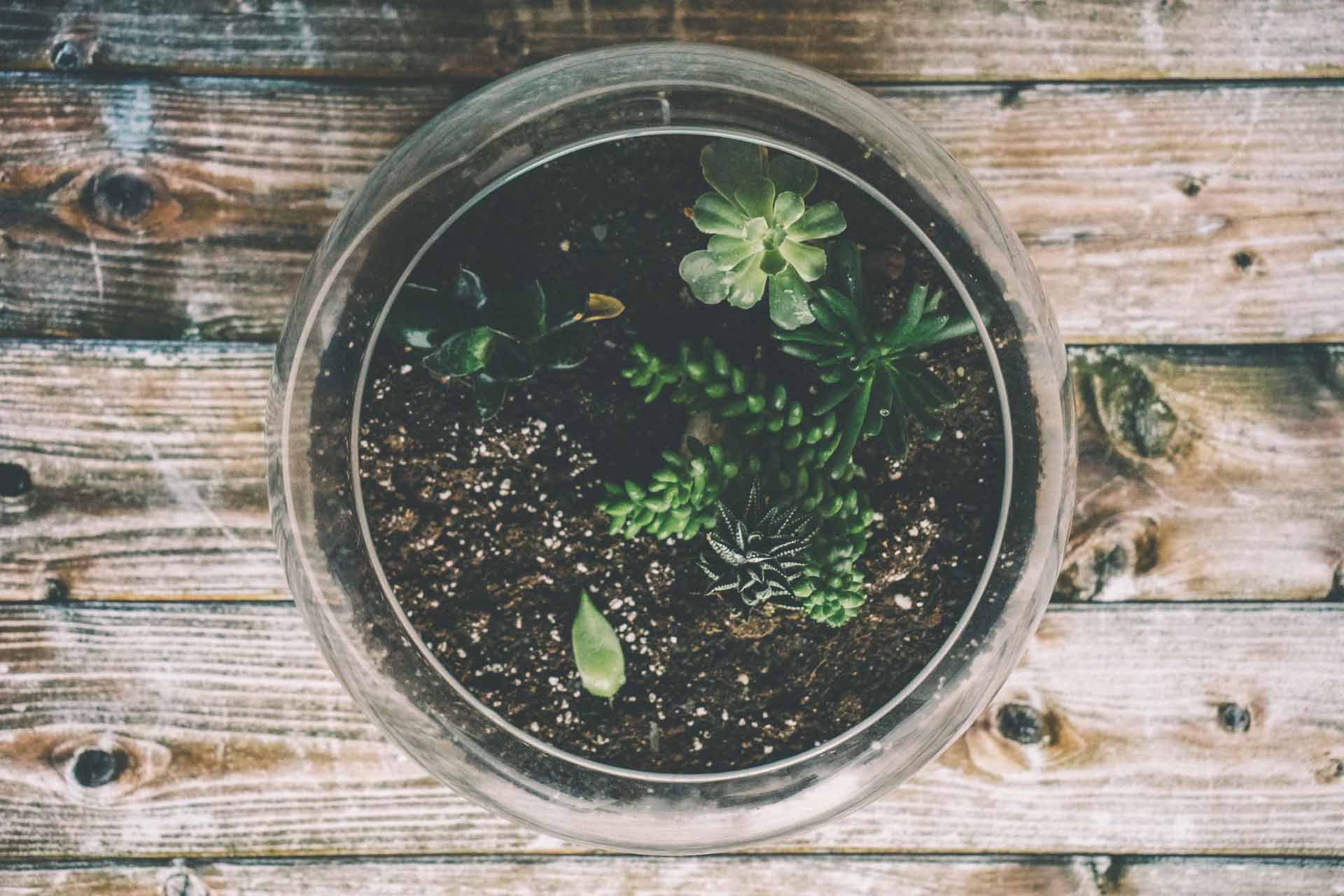 SALT’S Sip & Sprout Coming Up