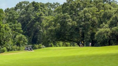 Cheriogotis Announces Updates To Azalea City Golf Course
