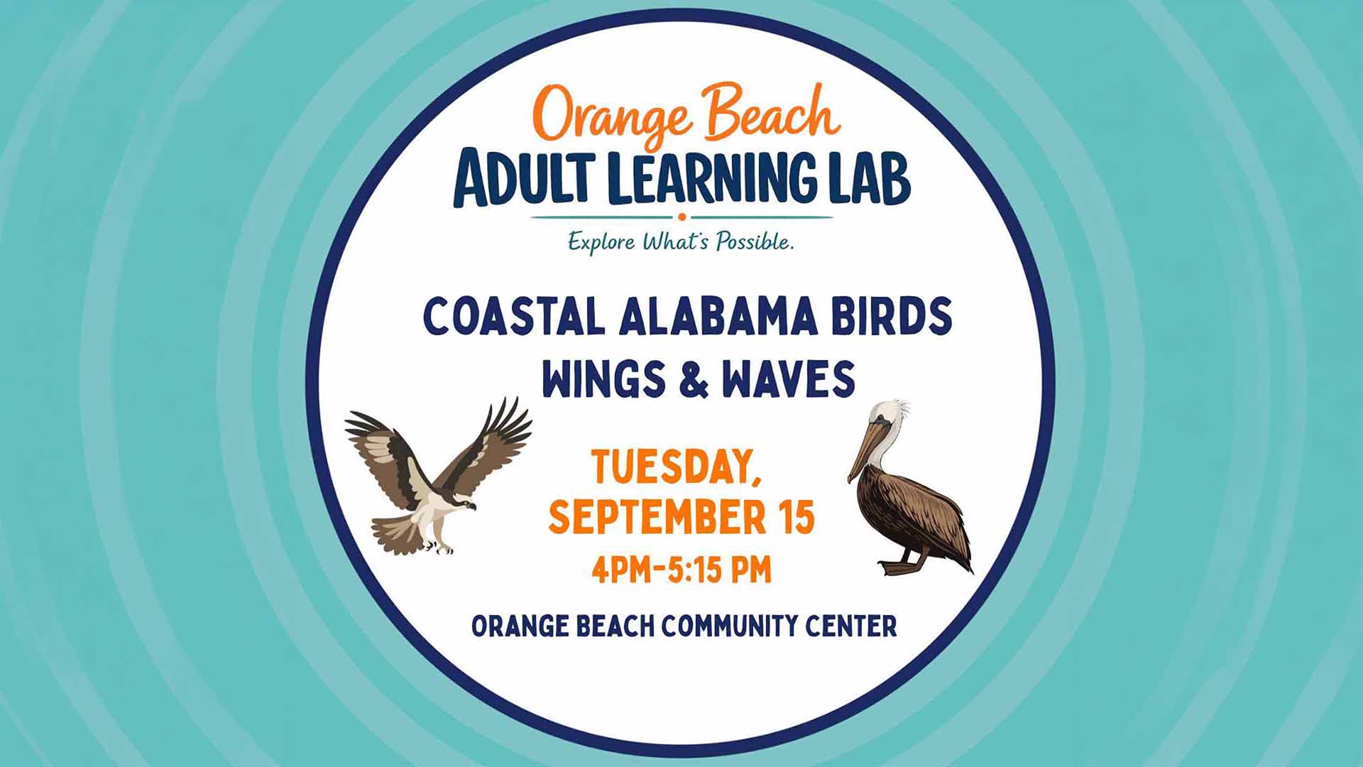 Birding Session Coming To Orange Beach
