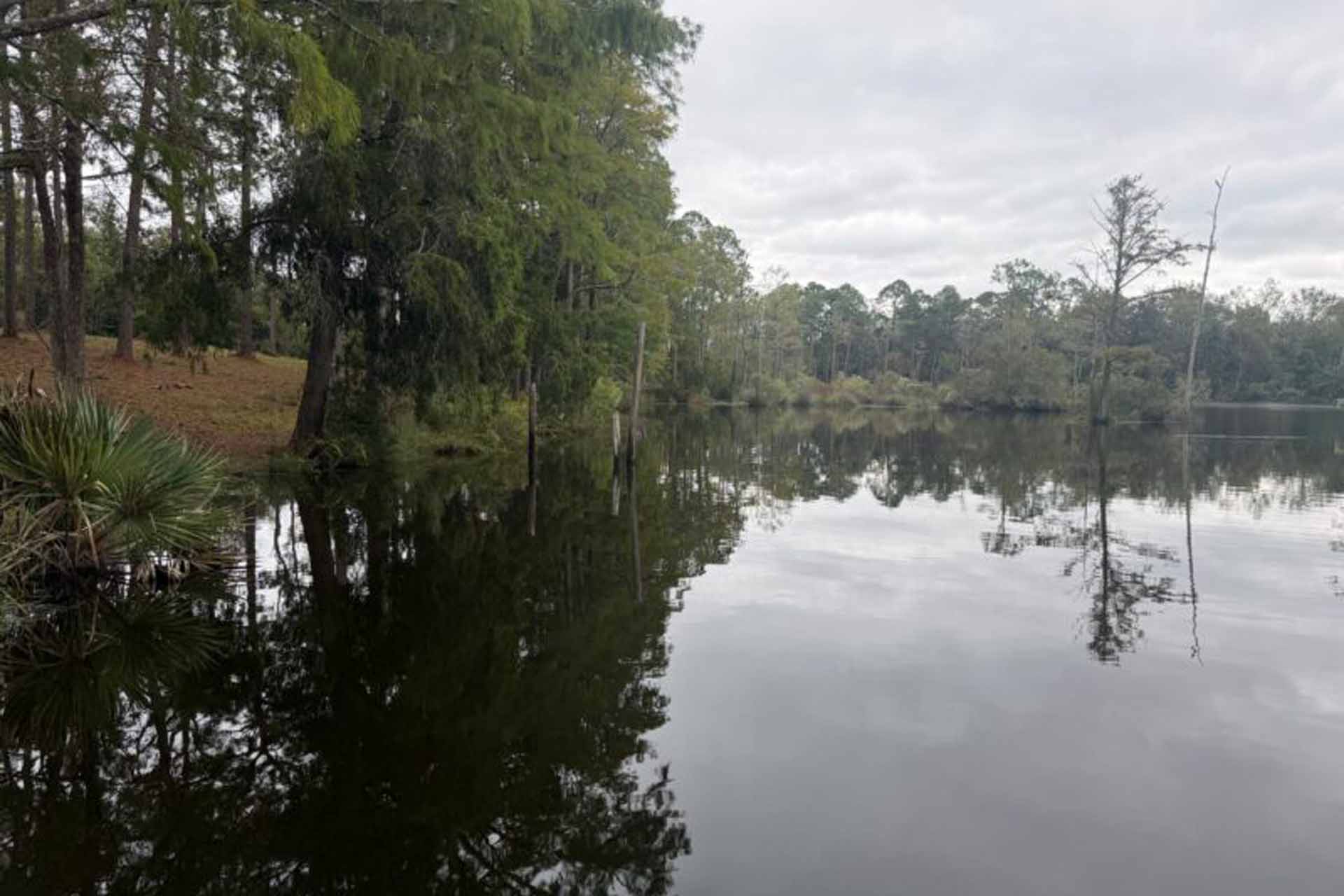 Foley Receives State Grant For Wolf Creek Park Improvements
