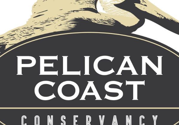 150 ACRES CONSERVED ALONG RABBIT CREEK