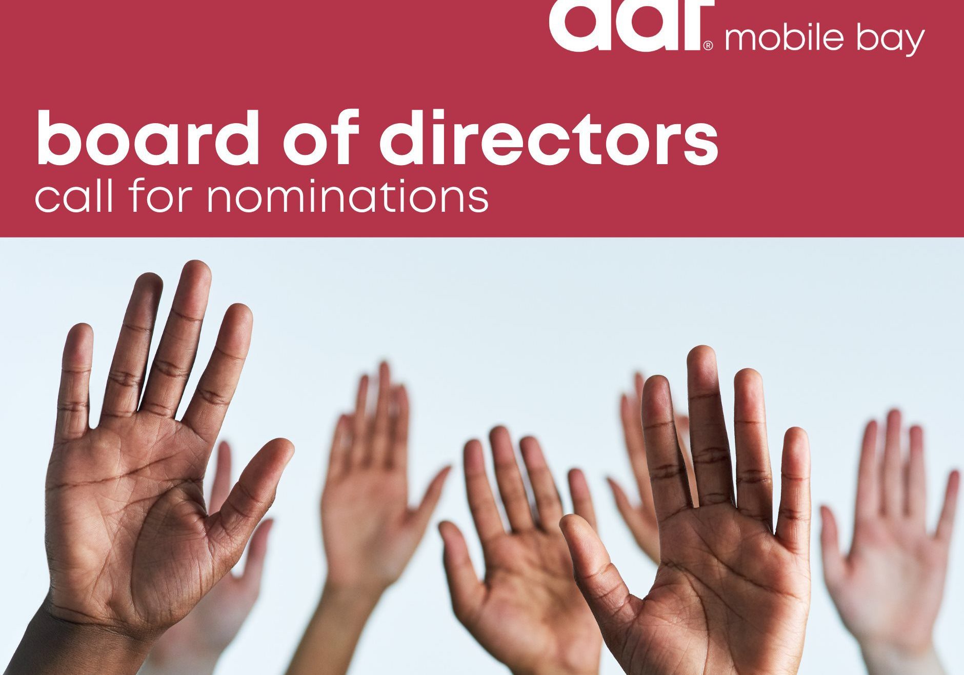 AAF Mobile Bay Seeking Board Of Directors