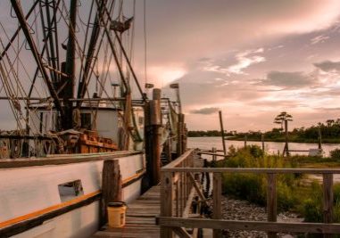 ALABAMA STATE WATERS TEMPORARILY CLOSED TO SHRIMPING