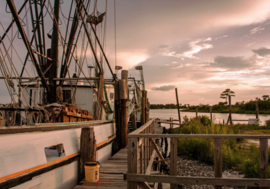 ALABAMA STATE WATERS TO OPEN FOR SHRIMPING ON JUNE 1