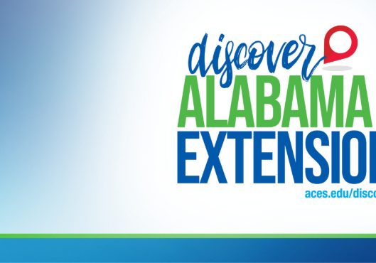 AZALEAS 101 COMING TO ROBERTSDALE