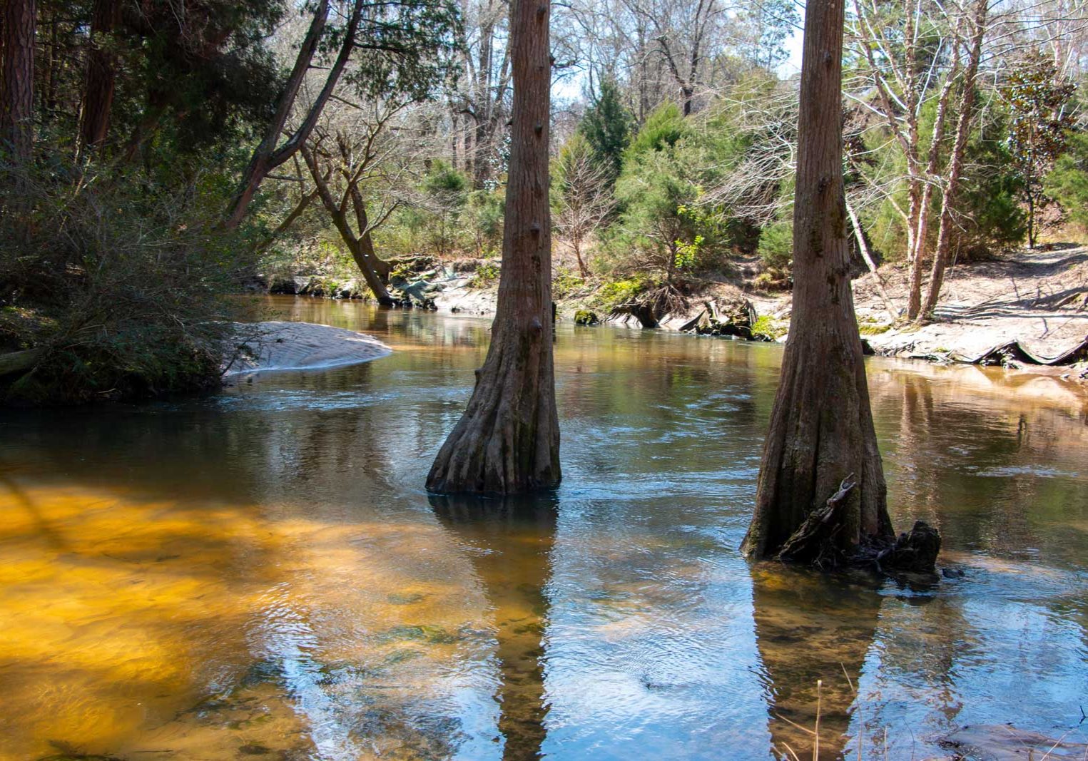 Alabama Water Rally Coming Up