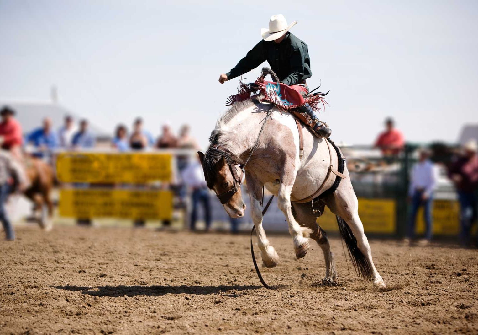 Annual Professional Rodeo Fundraiser Tickets On Sale