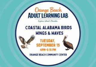 Birding Session Coming To Orange Beach